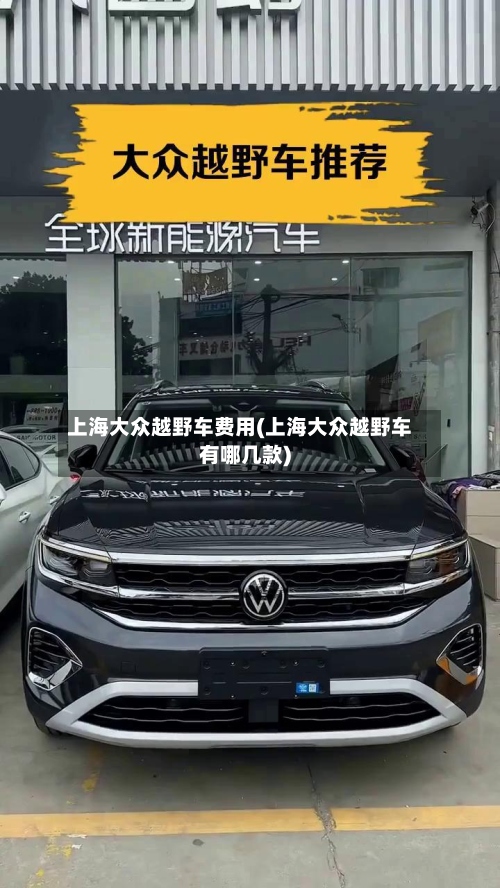 上海大众越野车费用(上海大众越野车有哪几款)-第2张图片