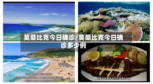 莫桑比克今日确诊/莫桑比克今日确诊多少例