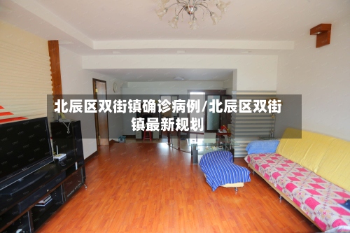 北辰区双街镇确诊病例/北辰区双街镇最新规划-第2张图片