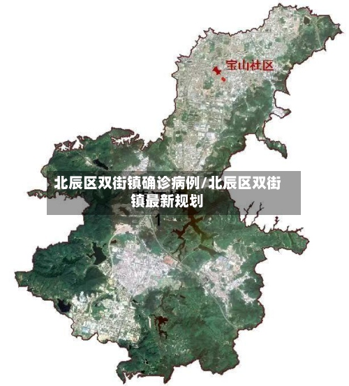 北辰区双街镇确诊病例/北辰区双街镇最新规划-第3张图片