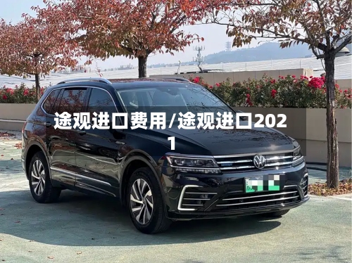 途观进口费用/途观进口2021-第2张图片