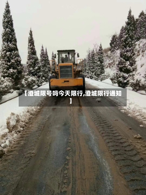 【澄城限号吗今天限行,澄城限行通知】-第3张图片