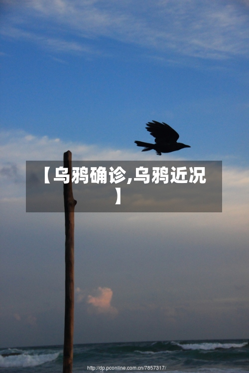 【乌鸦确诊,乌鸦近况】