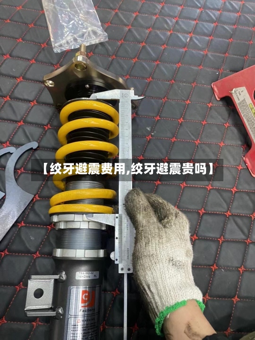 【绞牙避震费用,绞牙避震贵吗】-第2张图片