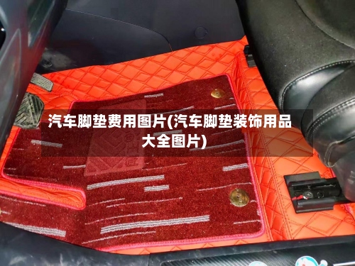 汽车脚垫费用图片(汽车脚垫装饰用品大全图片)