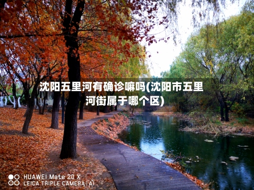 沈阳五里河有确诊嘛吗(沈阳市五里河街属于哪个区)-第2张图片