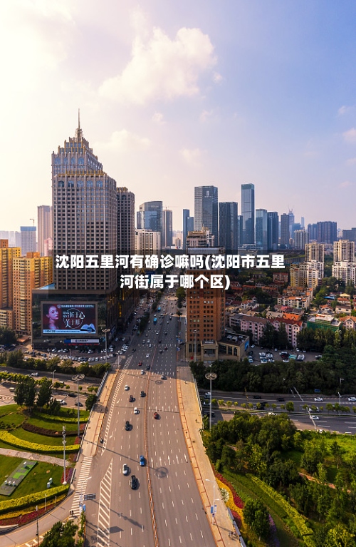 沈阳五里河有确诊嘛吗(沈阳市五里河街属于哪个区)