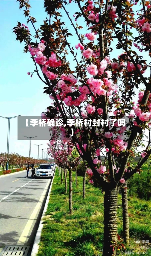 【李桥确诊,李桥村封村了吗】-第2张图片
