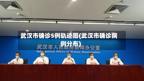 武汉市确诊5例轨迹图(武汉市确诊病例分布)-第3张图片