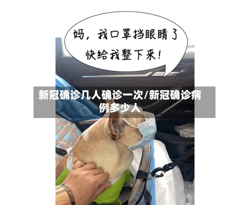 新冠确诊几人确诊一次/新冠确诊病例多少人-第3张图片