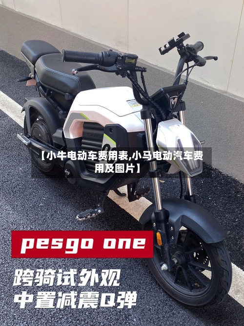 【小牛电动车费用表,小马电动汽车费用及图片】