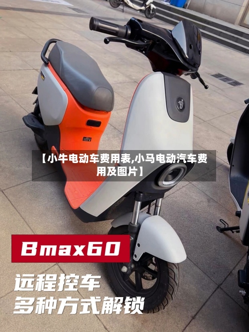 【小牛电动车费用表,小马电动汽车费用及图片】-第3张图片