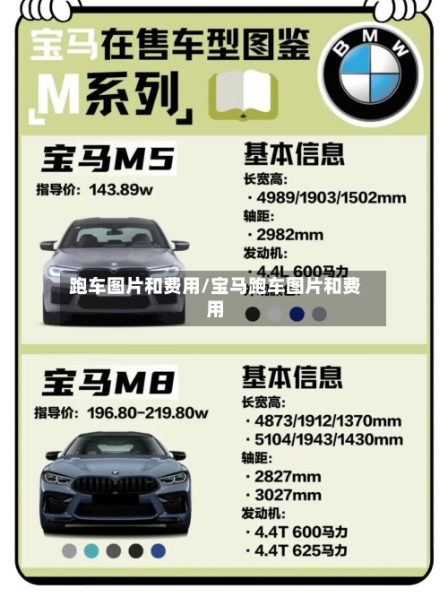 跑车图片和费用/宝马跑车图片和费用-第3张图片