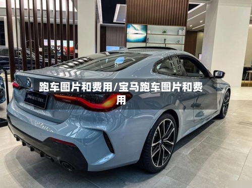 跑车图片和费用/宝马跑车图片和费用-第2张图片