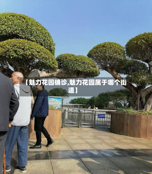 【魅力花园确诊,魅力花园属于哪个街道】