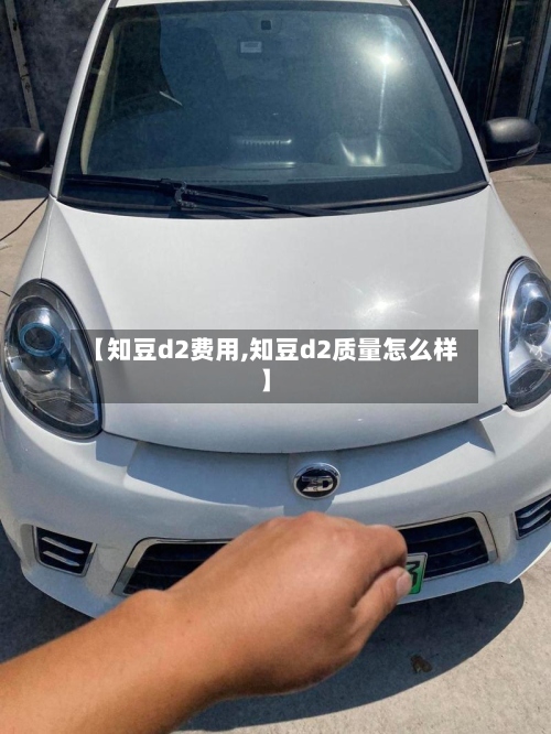 【知豆d2费用,知豆d2质量怎么样】