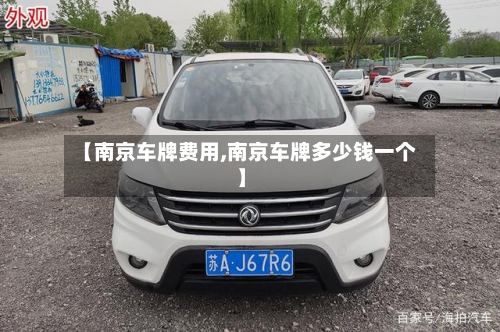 【南京车牌费用,南京车牌多少钱一个】-第3张图片