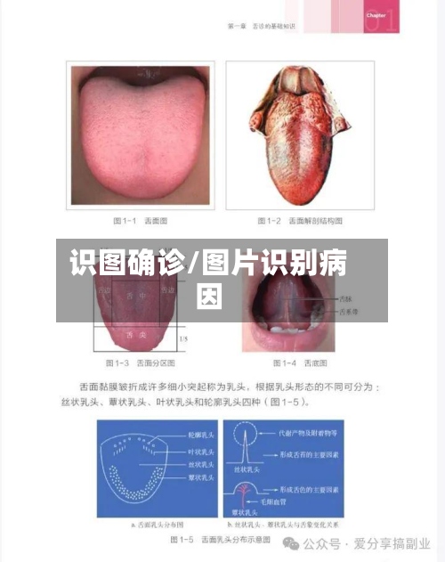 识图确诊/图片识别病因-第2张图片