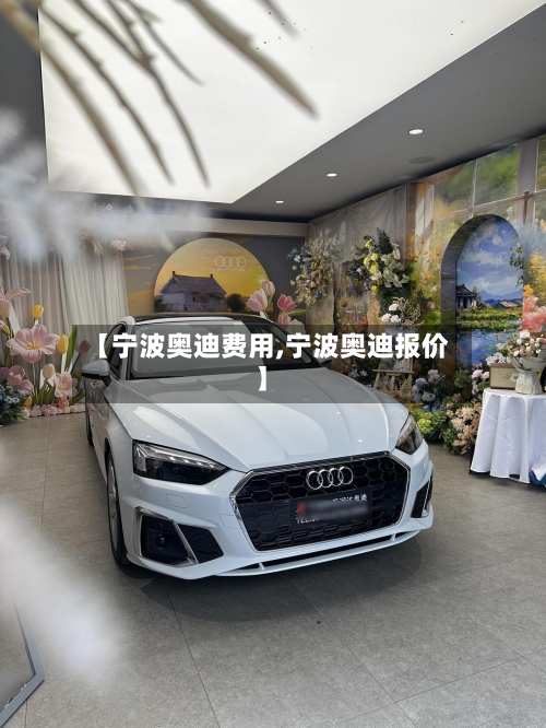 【宁波奥迪费用,宁波奥迪报价】