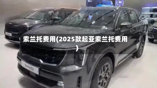 索兰托费用(2025款起亚索兰托费用)-第2张图片