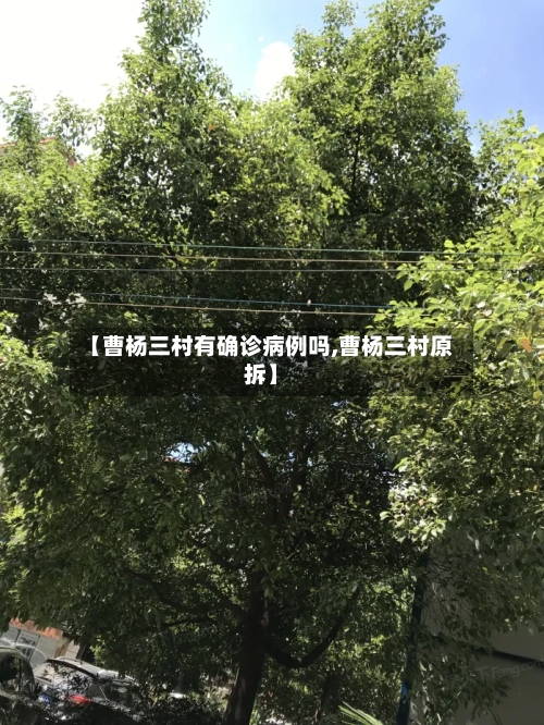 【曹杨三村有确诊病例吗,曹杨三村原拆】
