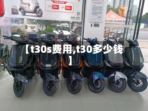 【t30s费用,t30多少钱】-第3张图片