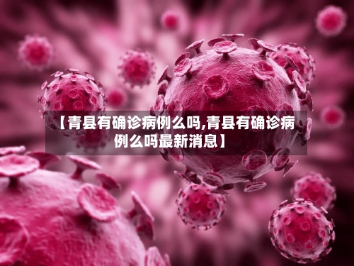 【青县有确诊病例么吗,青县有确诊病例么吗最新消息】-第3张图片