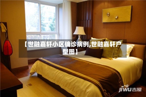 【世融嘉轩小区确诊病例,世融嘉轩户型图】