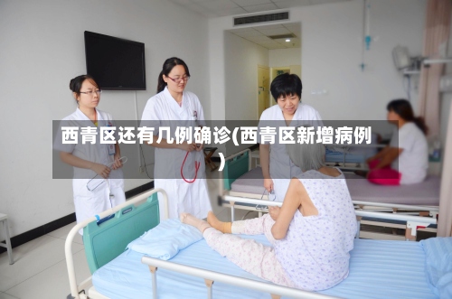 西青区还有几例确诊(西青区新增病例)