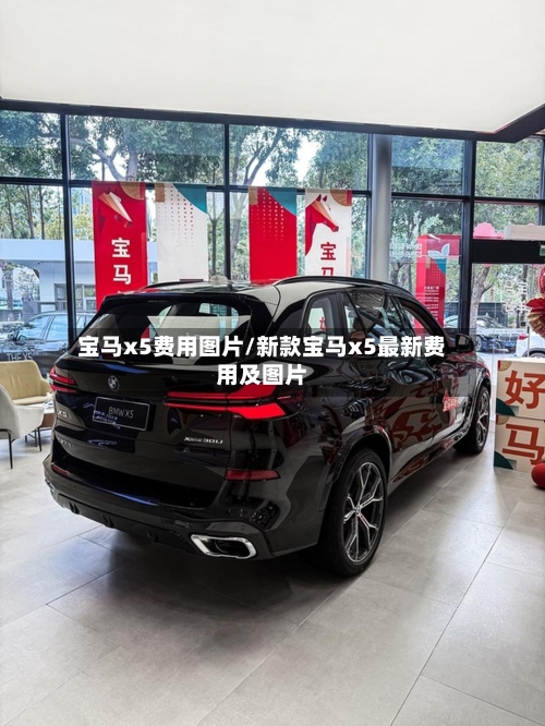 宝马x5费用图片/新款宝马x5最新费用及图片-第2张图片
