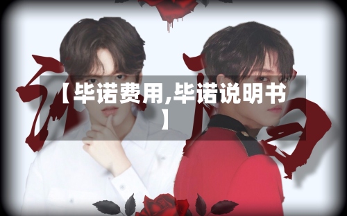 【毕诺费用,毕诺说明书】