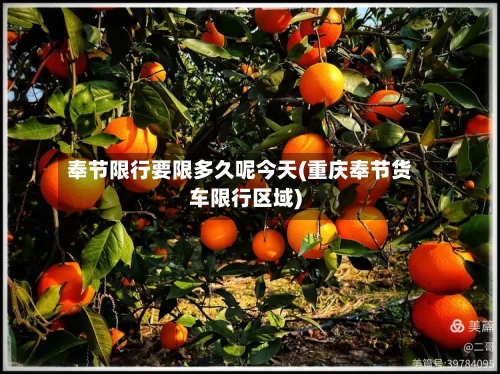 奉节限行要限多久呢今天(重庆奉节货车限行区域)-第3张图片