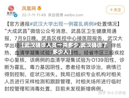 【武汉确诊人员一共多少,武汉确诊了多少人】