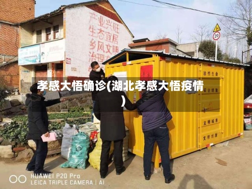 孝感大悟确诊(湖北孝感大悟疫情)-第3张图片
