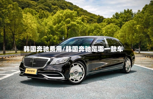 韩国奔驰费用/韩国奔驰是哪一款车-第3张图片