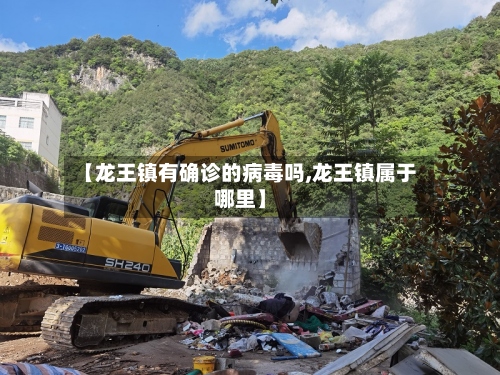 【龙王镇有确诊的病毒吗,龙王镇属于哪里】-第2张图片