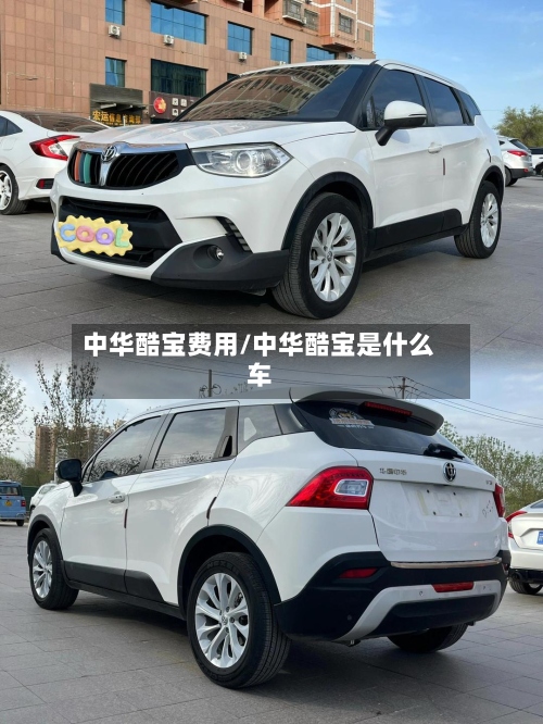 中华酷宝费用/中华酷宝是什么车