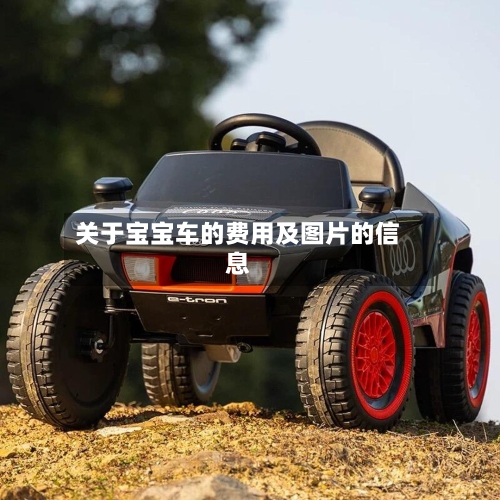 关于宝宝车的费用及图片的信息
