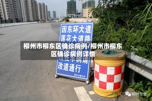 柳州市柳东区确诊病例/柳州市柳东区确诊病例详情-第3张图片