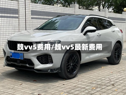 魏vv5费用/魏vv5最新费用
