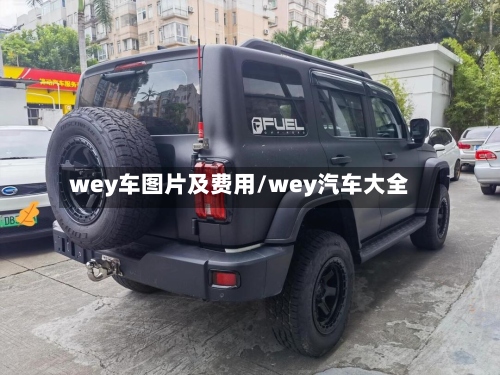 wey车图片及费用/wey汽车大全-第2张图片