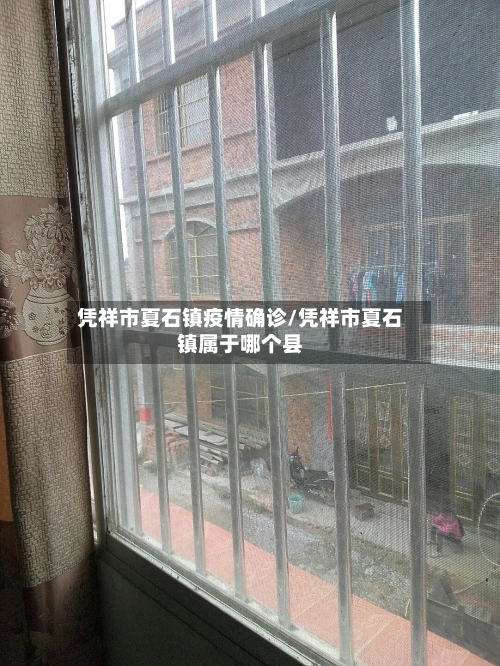 凭祥市夏石镇疫情确诊/凭祥市夏石镇属于哪个县-第3张图片
