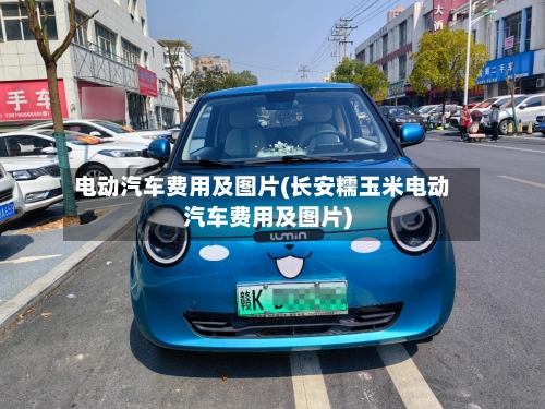 电动汽车费用及图片(长安糯玉米电动汽车费用及图片)