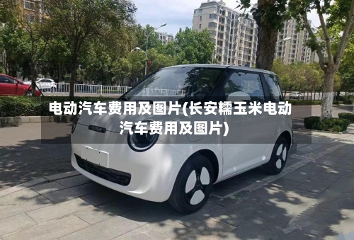 电动汽车费用及图片(长安糯玉米电动汽车费用及图片)-第2张图片