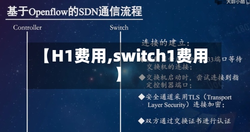 【H1费用,switch1费用】-第3张图片