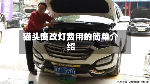 猫头鹰改灯费用的简单介绍