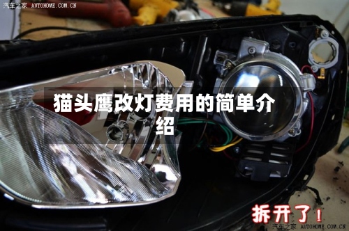 猫头鹰改灯费用的简单介绍-第3张图片