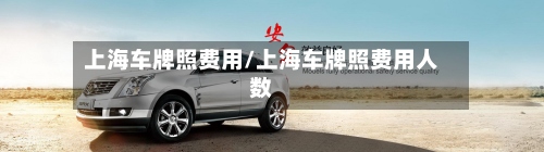 上海车牌照费用/上海车牌照费用人数