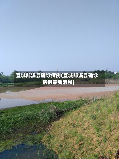 宣城郎溪县确诊病例(宣城郎溪县确诊病例最新消息)-第2张图片