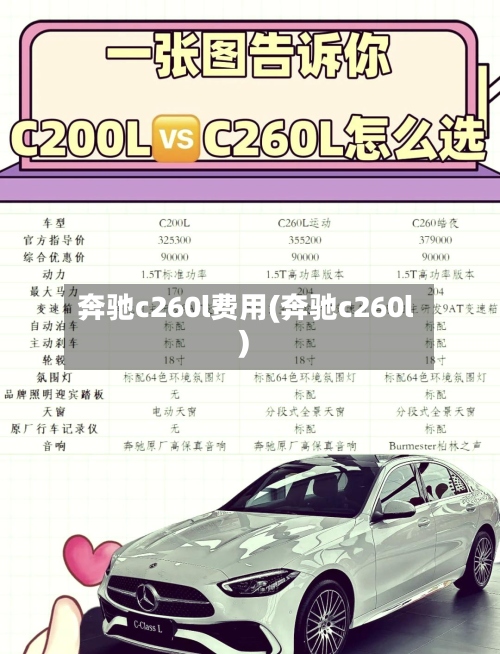 奔驰c260l费用(奔驰c260l)-第3张图片